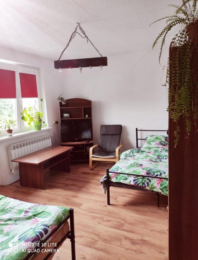 Gromadzyniowka-Pod Czarnym Kogutem Apartment Ustrzyki Dolne Exterior photo