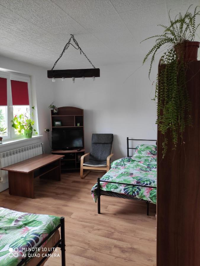 Gromadzyniowka-Pod Czarnym Kogutem Apartment Ustrzyki Dolne Exterior photo